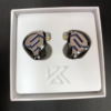 KZ ZSN Pro 2